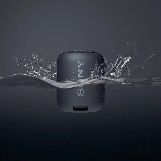 Compact Bluetooth speaker with strap
