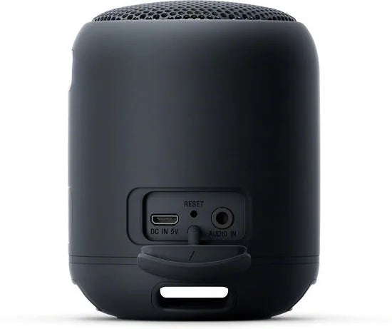 Compact Bluetooth speaker with strap