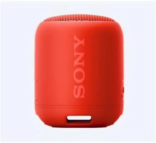 Compact Bluetooth speaker with strap