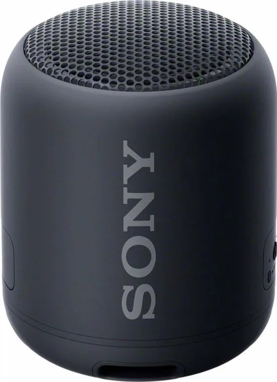 Compact Bluetooth speaker with strap