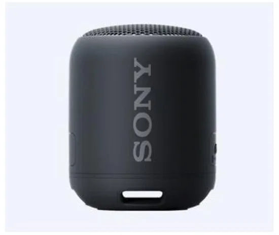 Compact Bluetooth speaker with strap