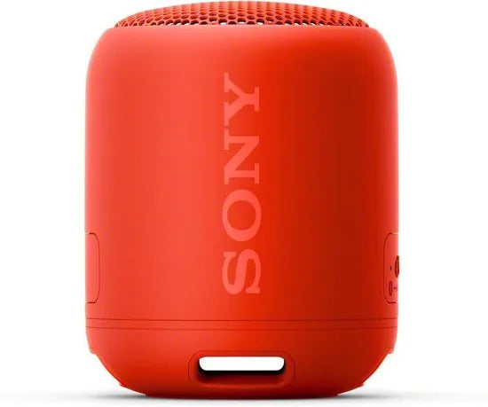 Compact Bluetooth speaker with strap