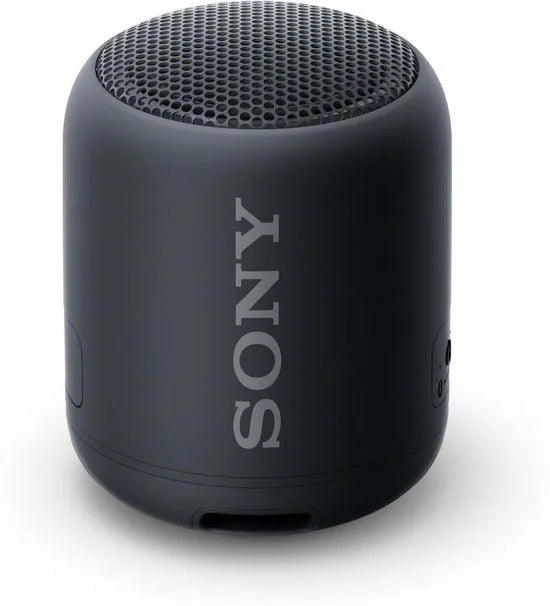 Compact Bluetooth speaker with strap