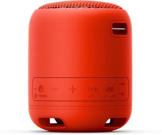 Compact Bluetooth speaker with strap