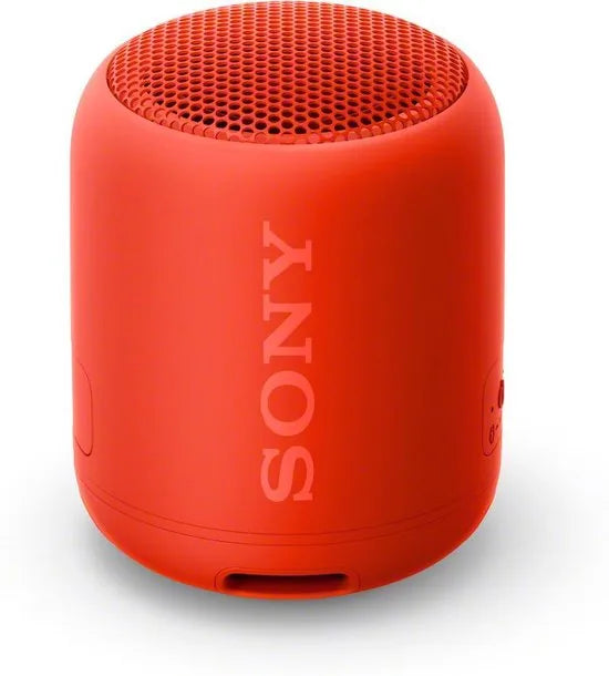 Compact Bluetooth speaker with strap