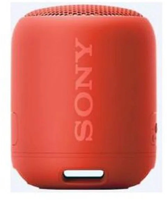 Compact Bluetooth speaker with strap