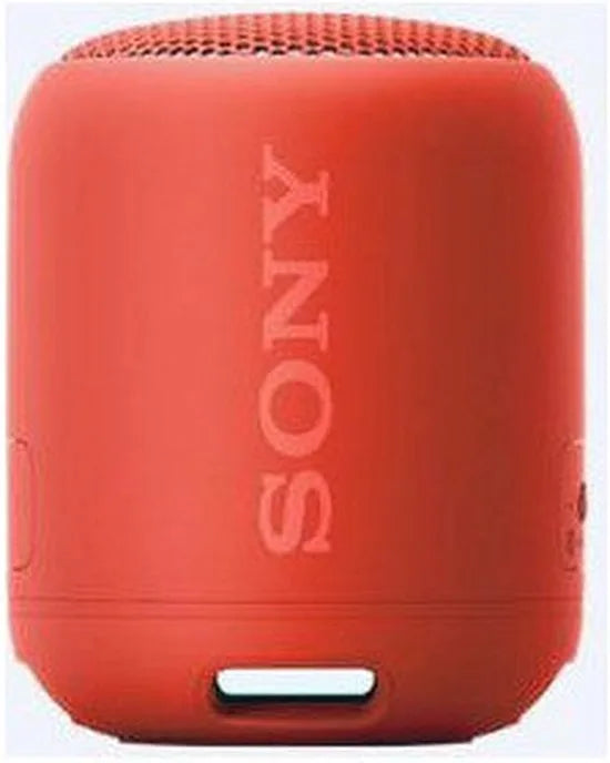 Compact Bluetooth speaker with strap