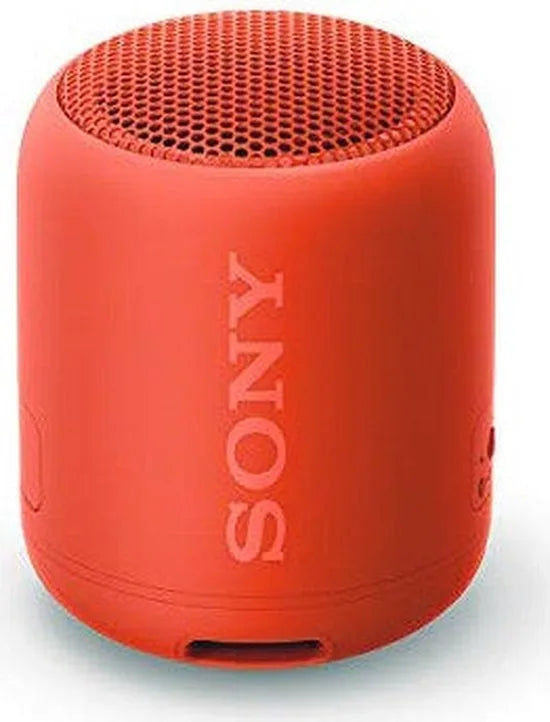 Compact Bluetooth speaker with strap