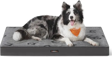 FurnStar - Hondenbed - Hondenkussen - Wasbaar - Hondenmat - Afneembaar - Waterdicht - Voor middelgrote honden - 91 x 68 x 8 cm - maat L - Grijs