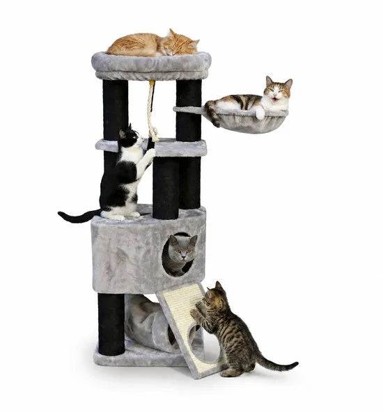 Kattenboom Xl - Kattenhuis - Krabpaal - Katten