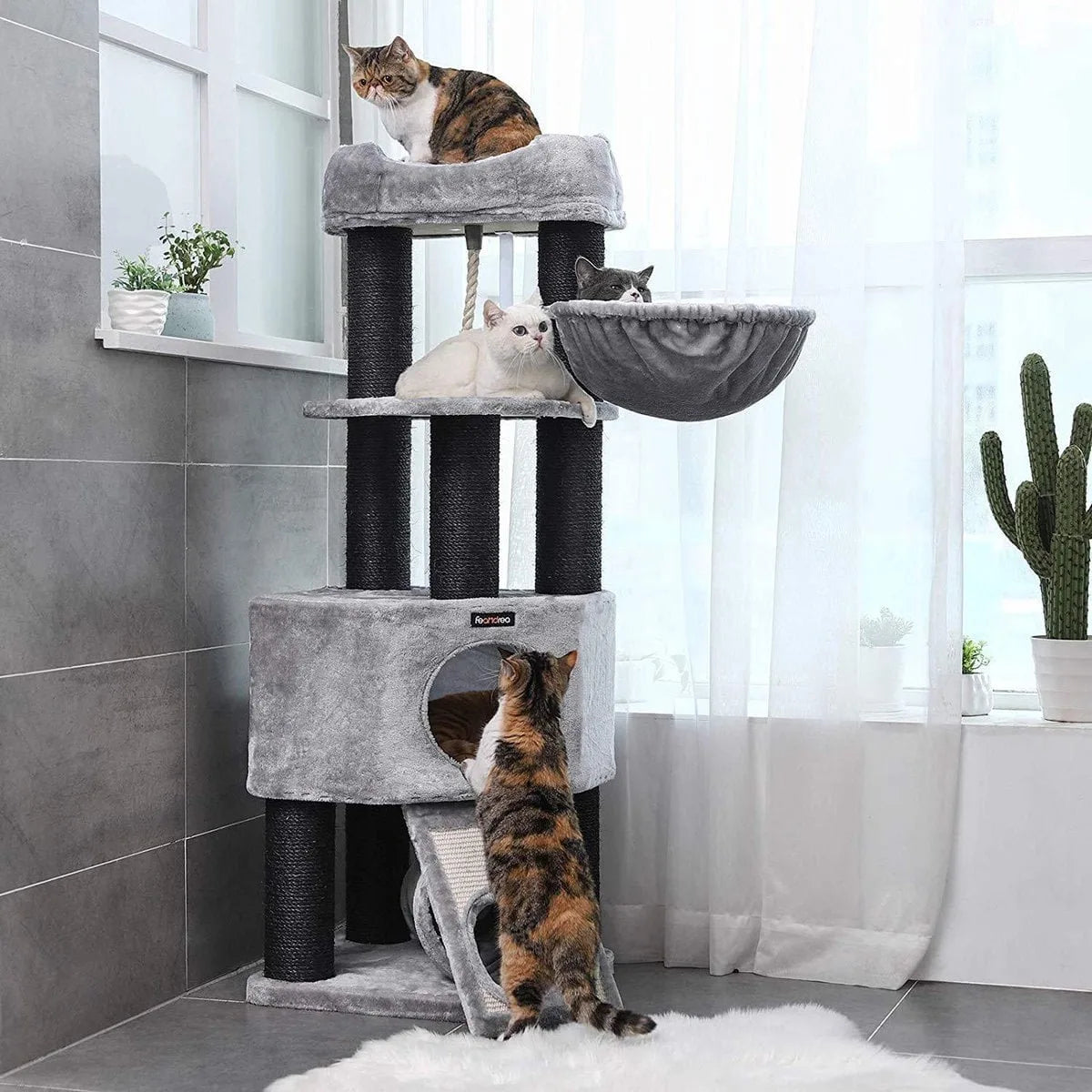 Kattenboom Xl - Kattenhuis - Krabpaal - Katten