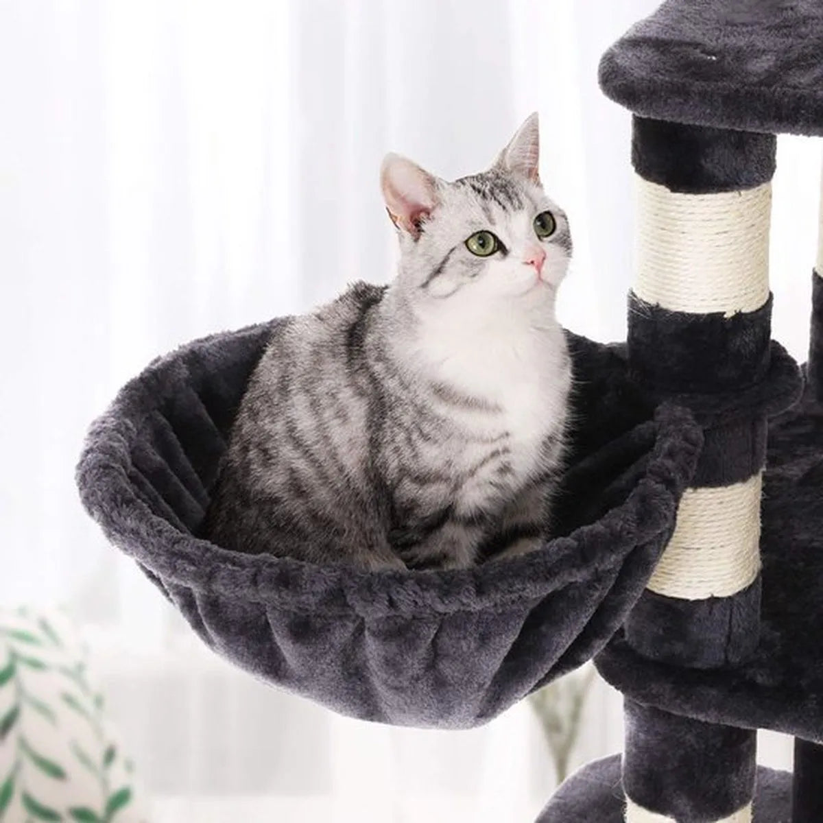 Kattenhuis - Huis voor Katten - XXL