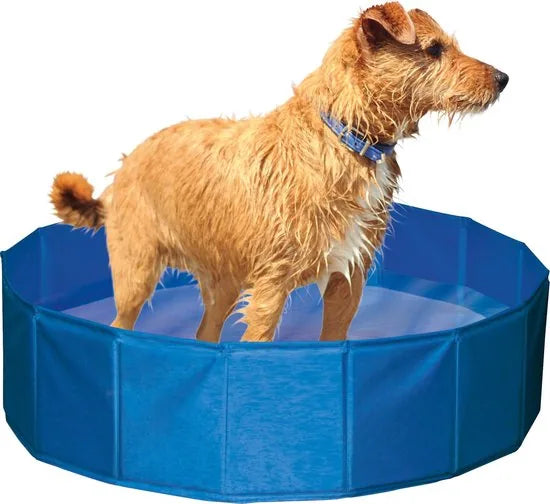 Kerbl Hondenzwembad - 80x80x20 cm - Blauw - S