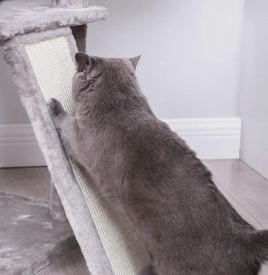 Segenn's Krabpaal - Kattenboom XXL 168 CM - Luxe Kattenhuis - Katten